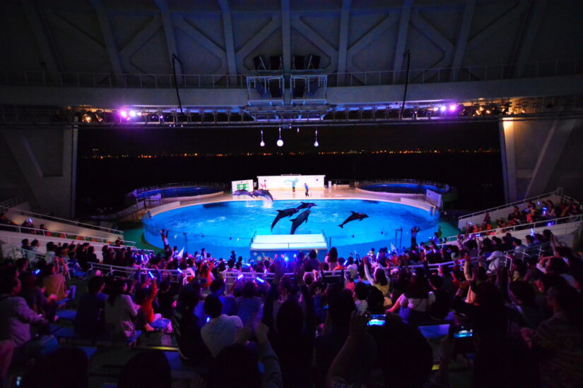 マリンワールド 夜の水族館