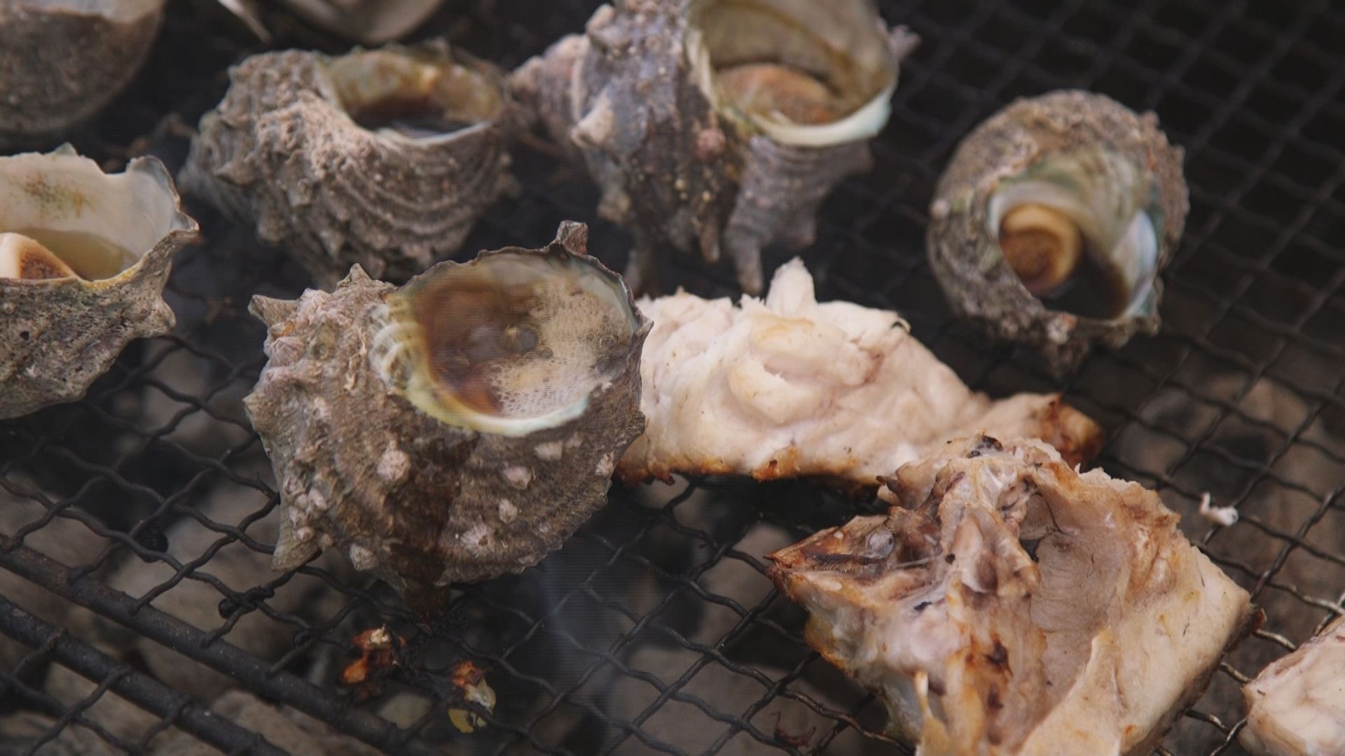 地元で獲れた魚介類で海鮮bbq 海と日本project In ふくおか