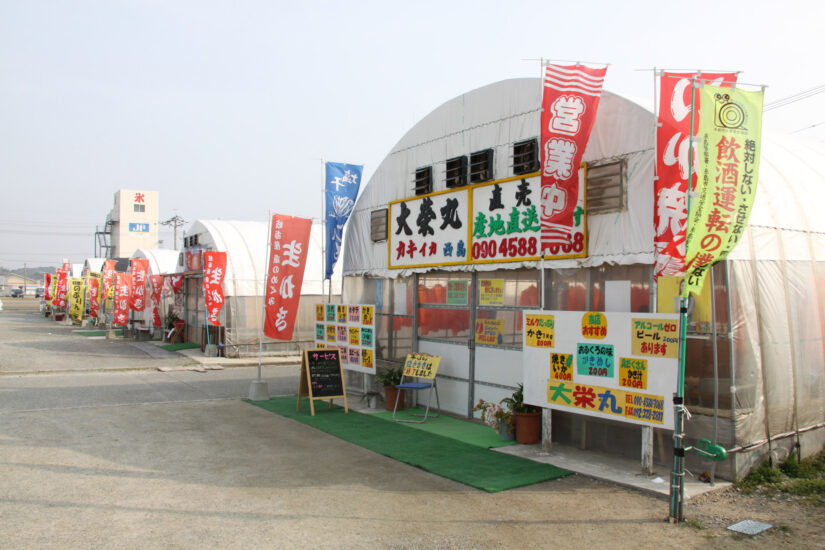 糸島の「カキ小屋」続々オープン！