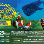 【SNJ94】360度いっぱいに広がる水中＆花火＆絶景映像！_夏休みスペシャル「全天周映像祭り2022」バナー