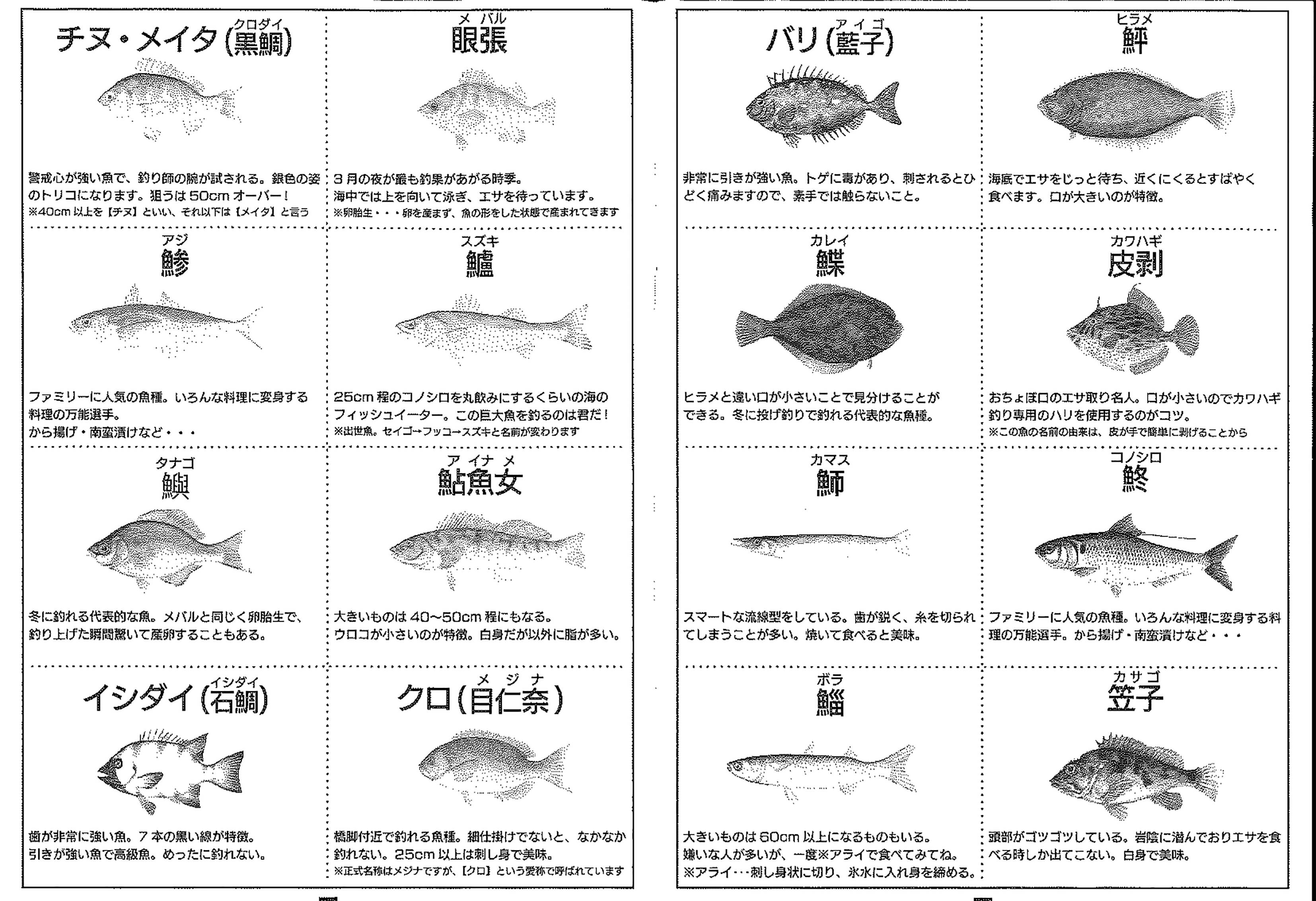 親子釣り教室開催！   海と日本 in ふくおか