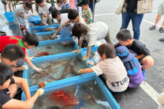 地域イベントは最高！