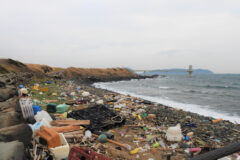 海洋プラスチック問題をテーマにした施設が開業