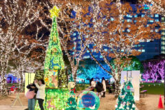 九州産業大学の『漁網クリスマスツリーソーシャルベルプロジェクト』